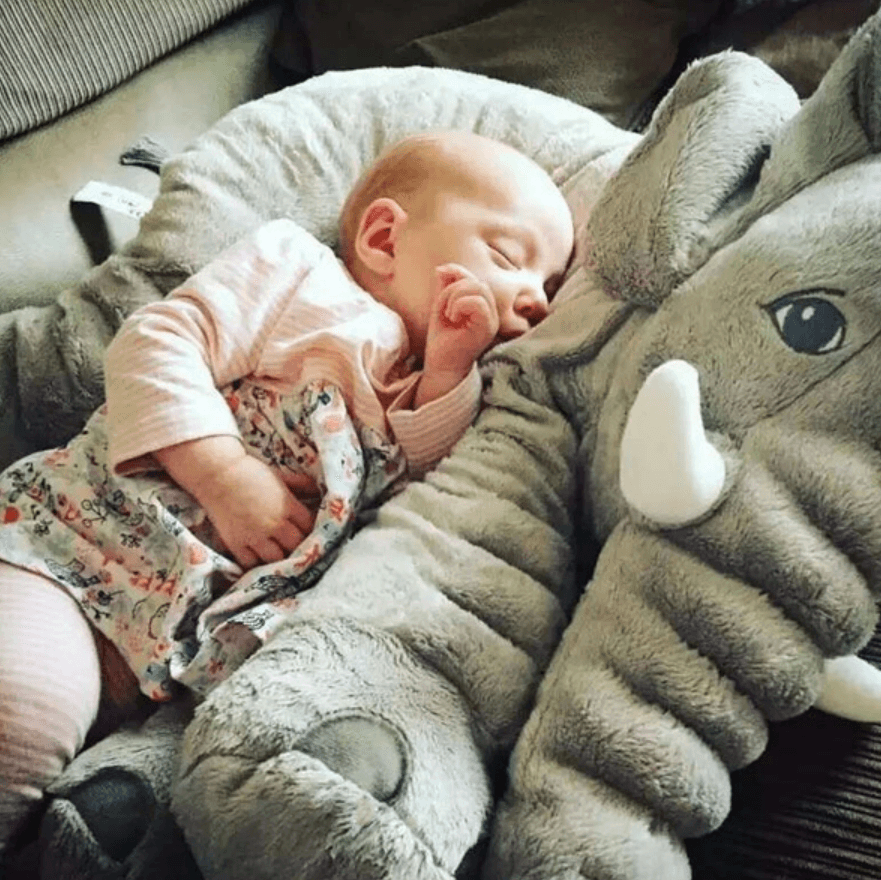 Elephant Soft Huggable Plush Toy image 6